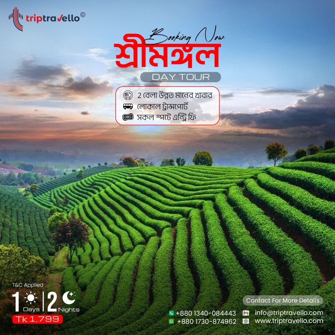 শ্রীমঙ্গল ডে ট্যুর