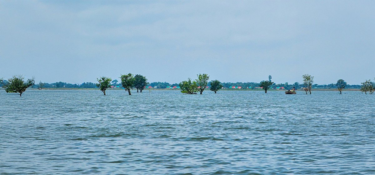 টাগুয়ার হাওর ডে ট্যুর