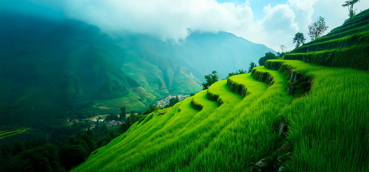 শ্রীমঙ্গল ডে ট্যুর