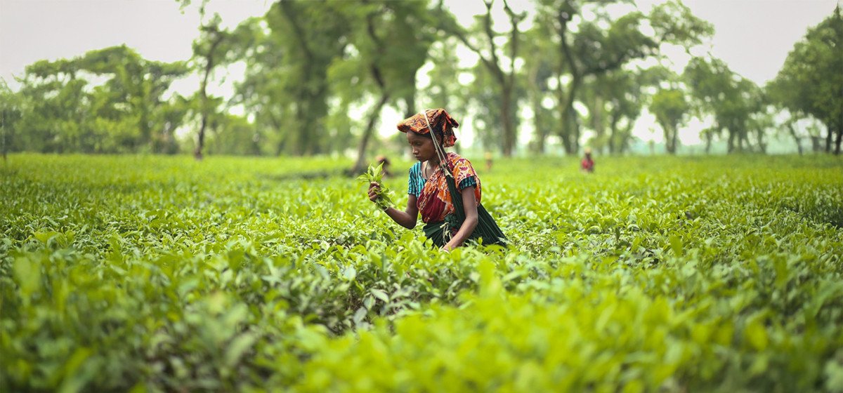 সিলেট রিলাক্স ট্যুর