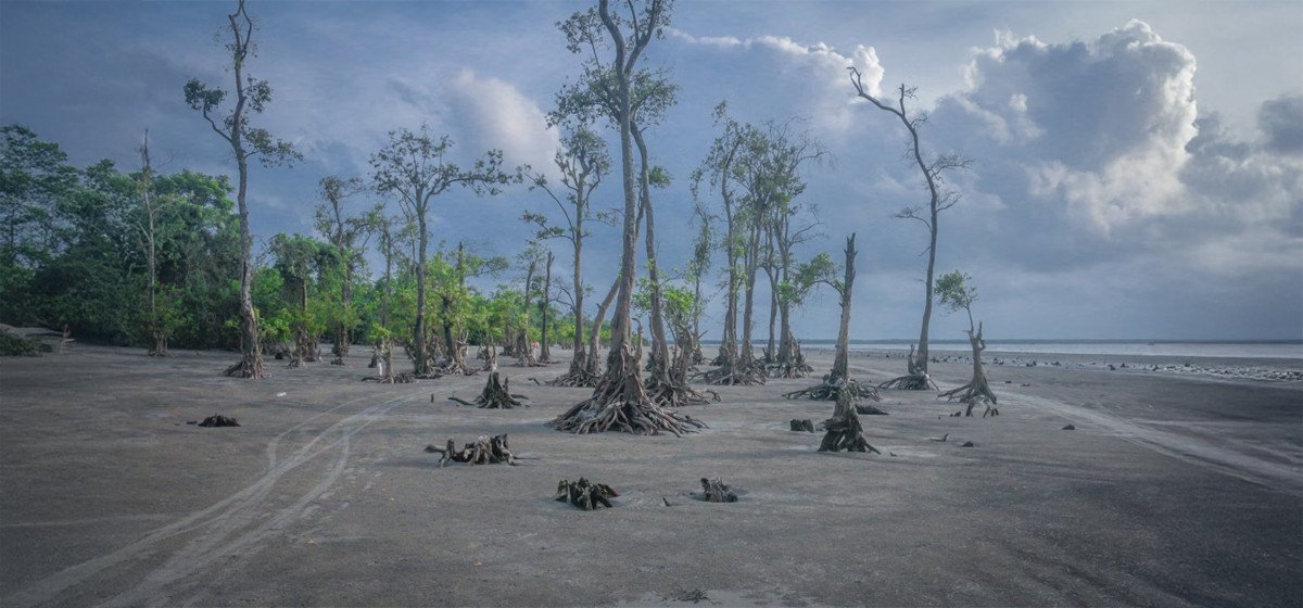 কুয়াকাটা ডে ট্যুর